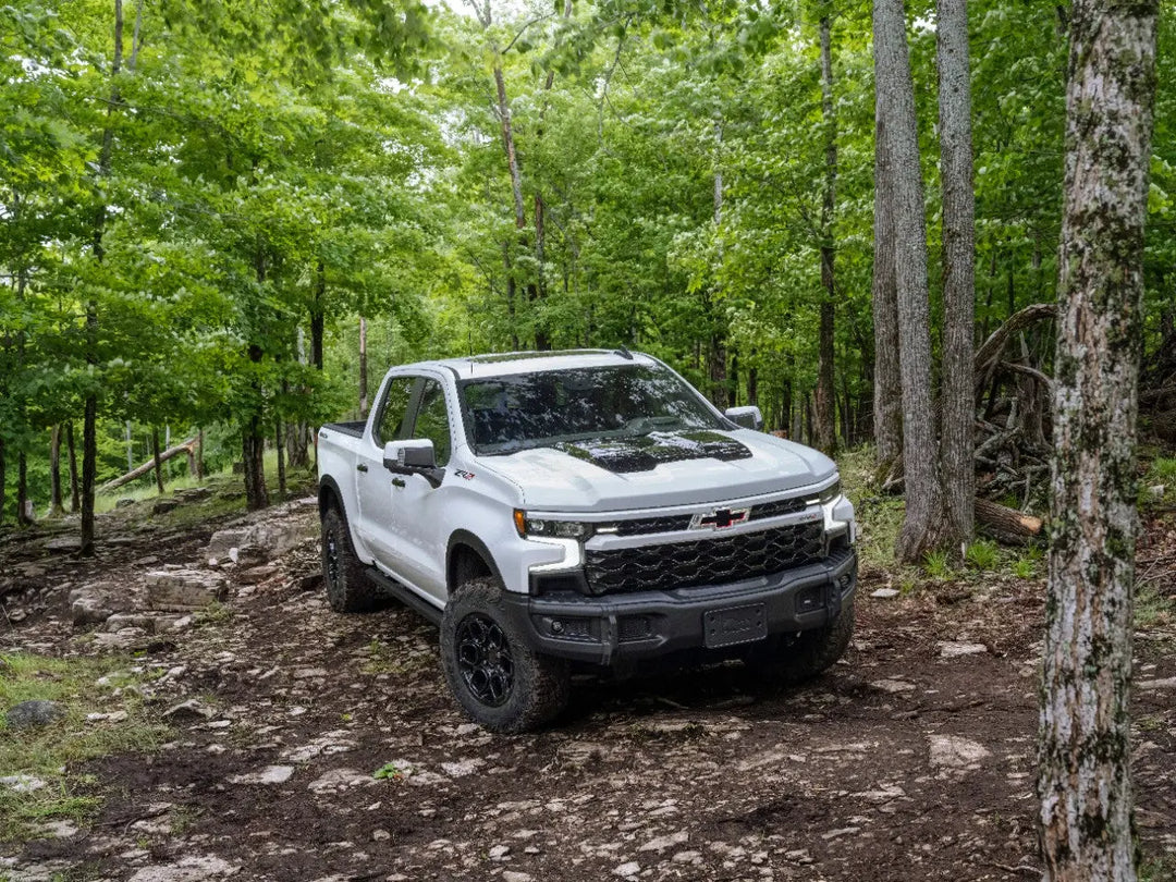 Chevy SIlverado Tailgate Insert